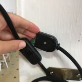 White globe wandering applied