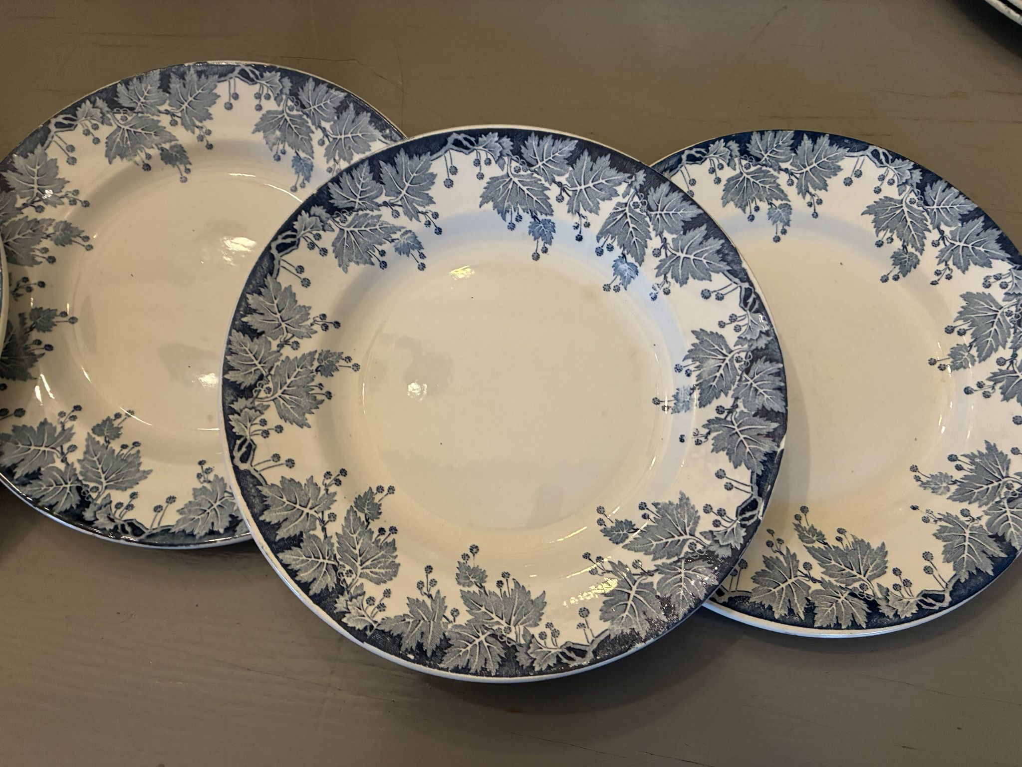 Lot de 5 assiettes plates Saint Amand Terre de Fer