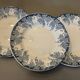 Set of 5 flat plates Saint Amand Terre de Fer