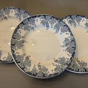 Lot de 5 assiettes plates Saint Amand Terre de Fer