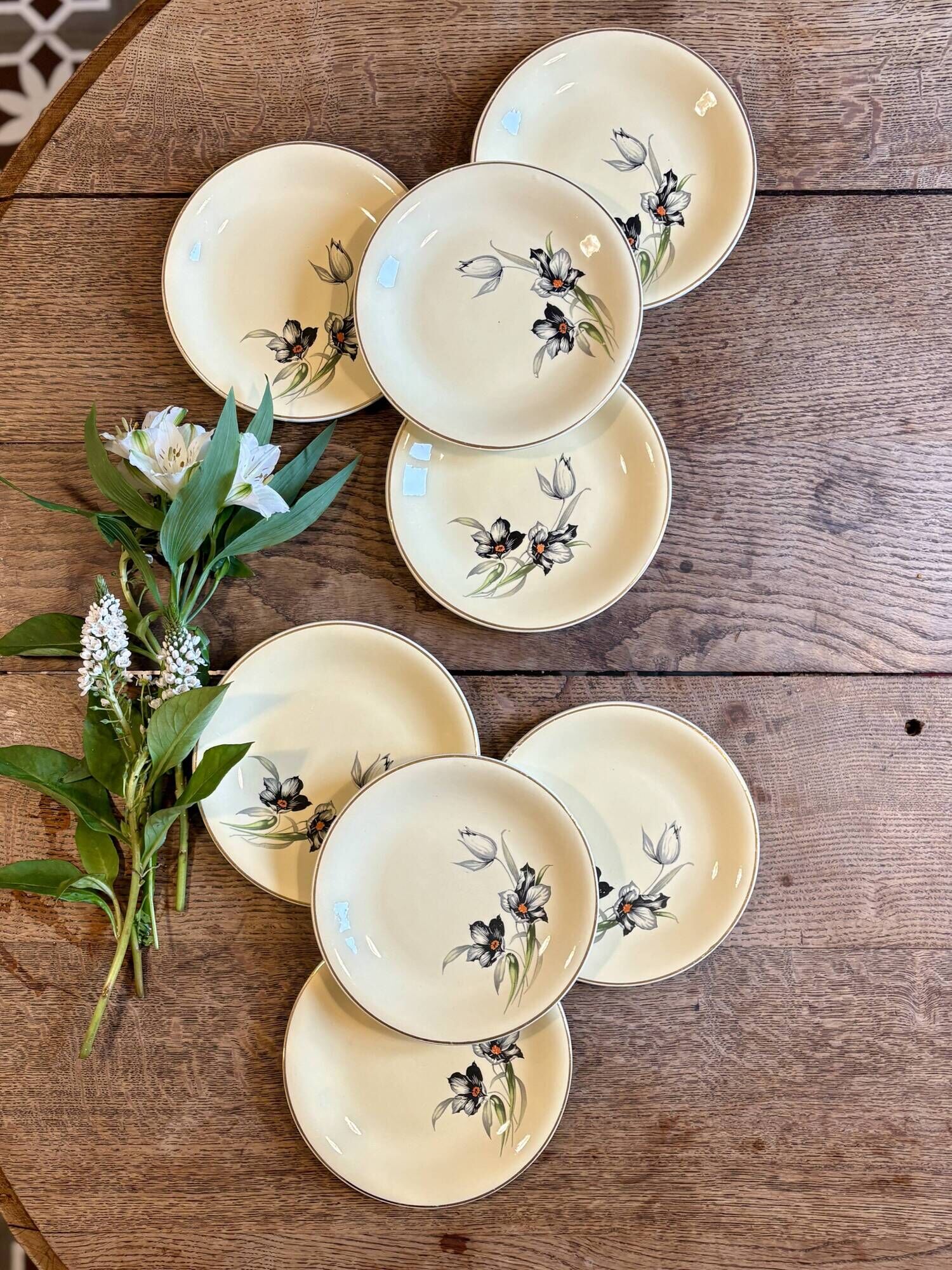 Set of 8 vintage dessert plates, Tulipe by Céranord