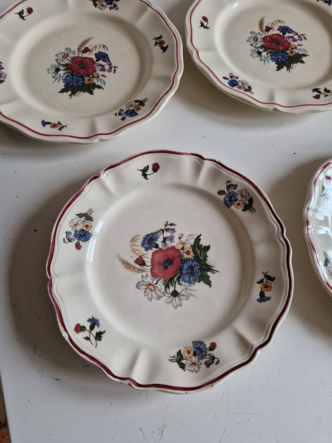 Set of 12 Sarreguemines Plates, Agreste Models