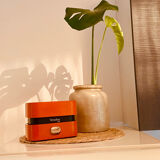 Orange Terraillon scale