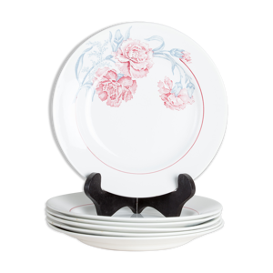 Lot de 6 assiettes plates