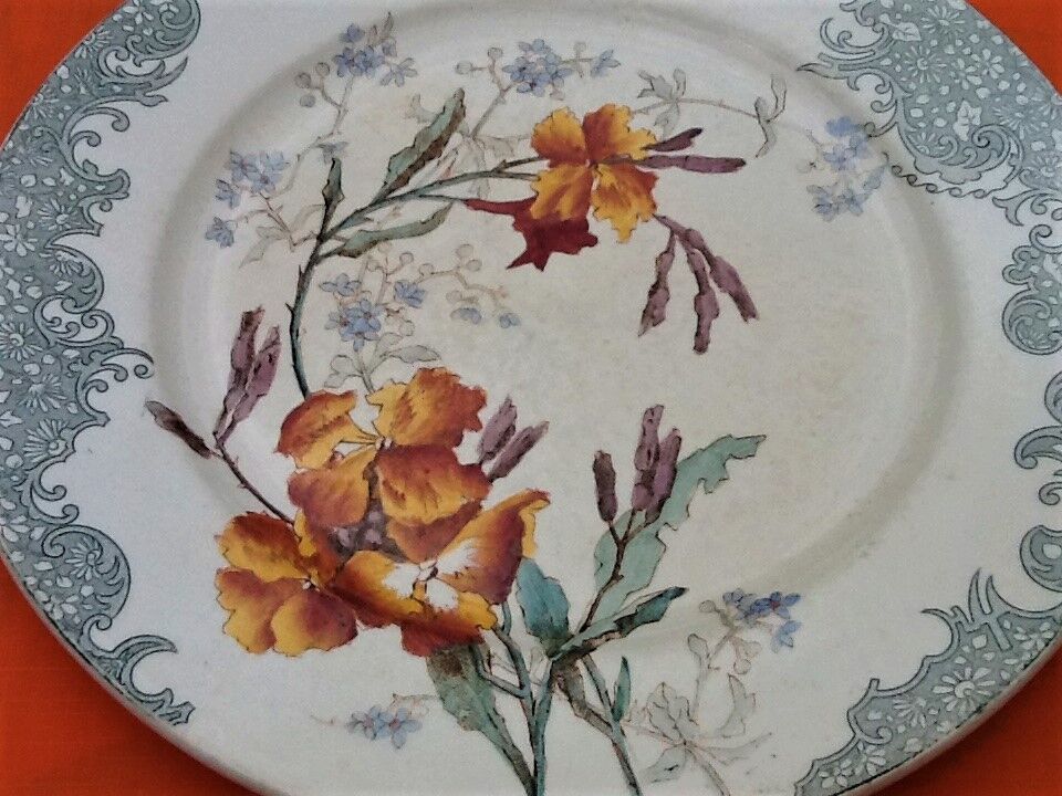 Polychrome Plate E. Bourgeois 1832-1926 crystal Porcelain Faïences