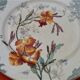 Polychrome Plate E. Bourgeois 1832-1926 crystal Porcelain Faïences