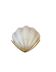 Shell-shaped wall light in Art Deco style with frosted glass and gilded bronze.