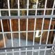 Etagere boulangere ancienne en fer forge a 5 niveaux