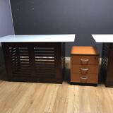 Adult office, exotic design