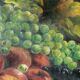 Painting, oil on canvas, still life, fruit cut