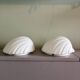 Two wall sconces in opal glass in the shape of seashells, Germany 1970