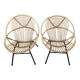 Rohe Noordwole 1950 vintage rattan and metal shell chairs