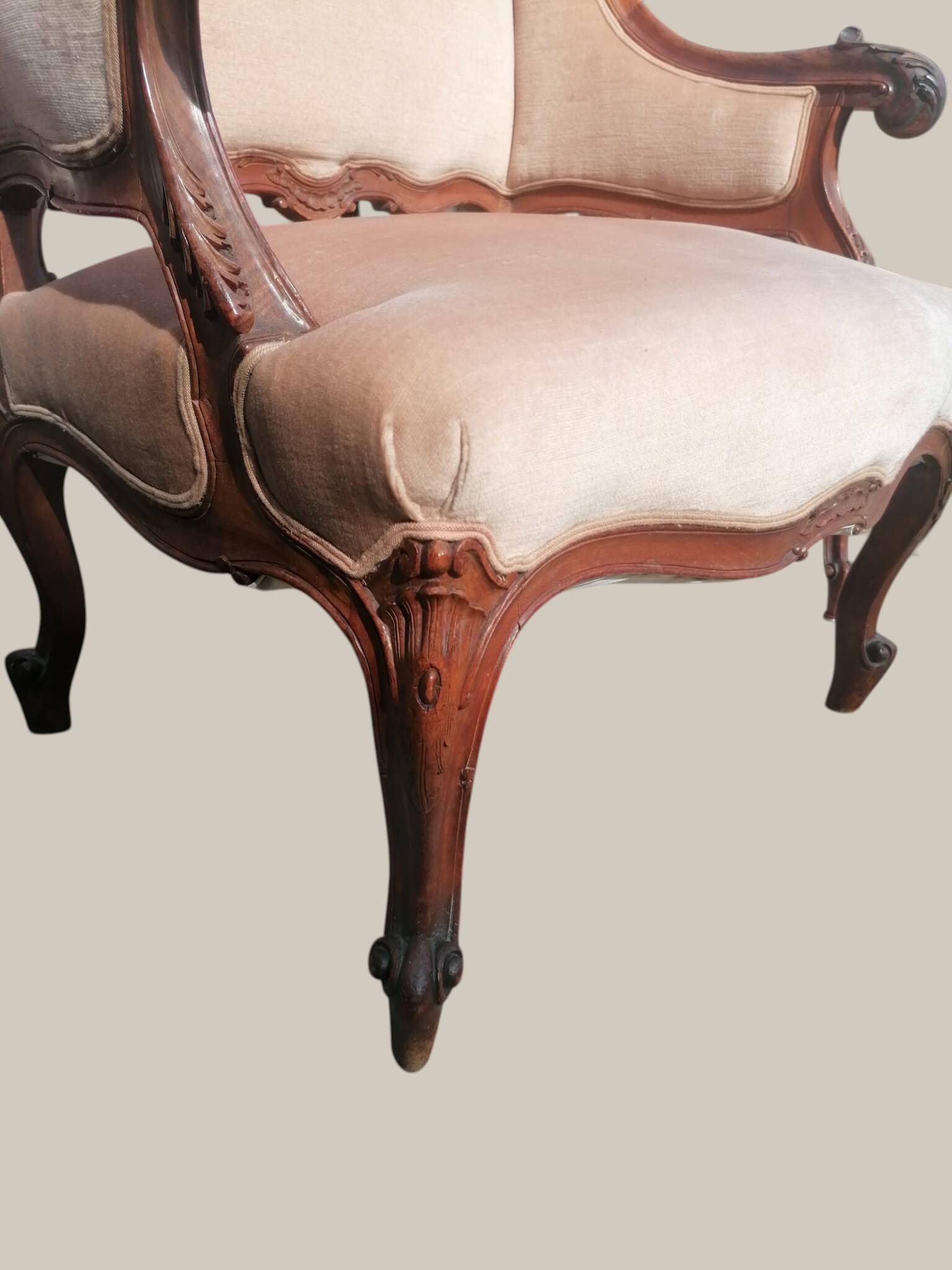 Salon Rocaille / Rococo - 2 fauteuils & 2 chaises - Noyer XIXe