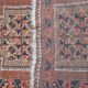Hand knotted wool rug 76x117cm