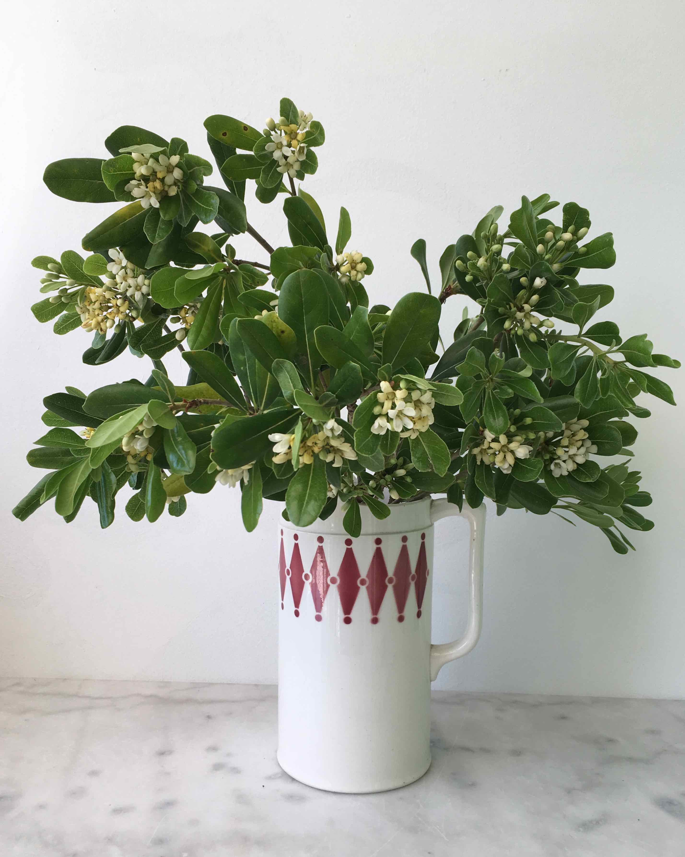 Broc de toilette Digoin Sarreguemines