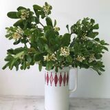 Broc de toilette Digoin Sarreguemines