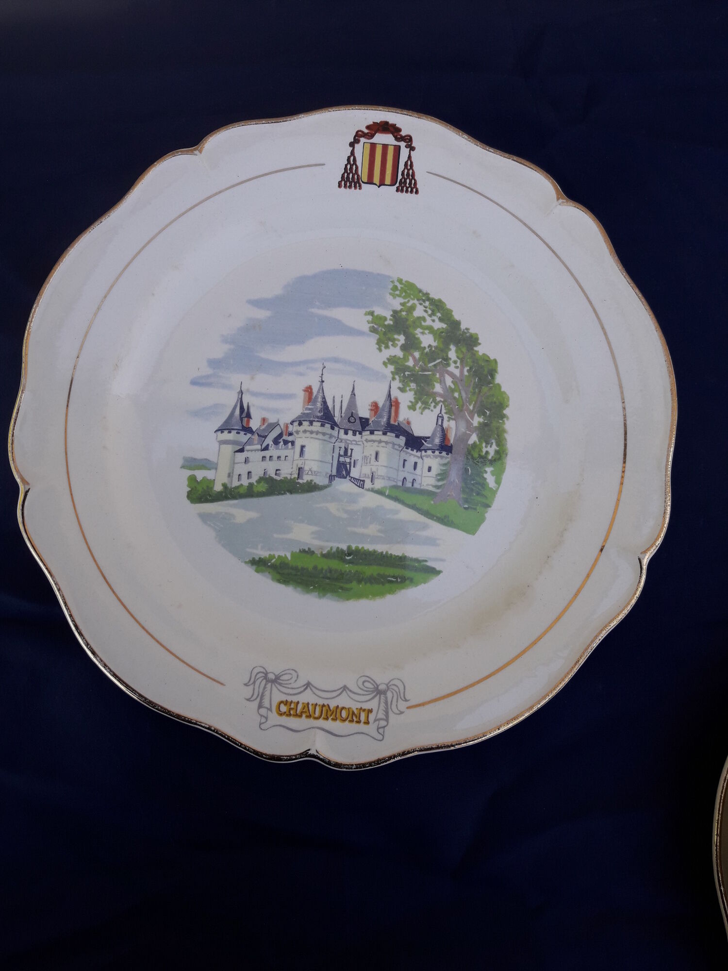 11 plates of earthenware from Gien model Châteaux de la Loire ar 22 cmmoiries diam