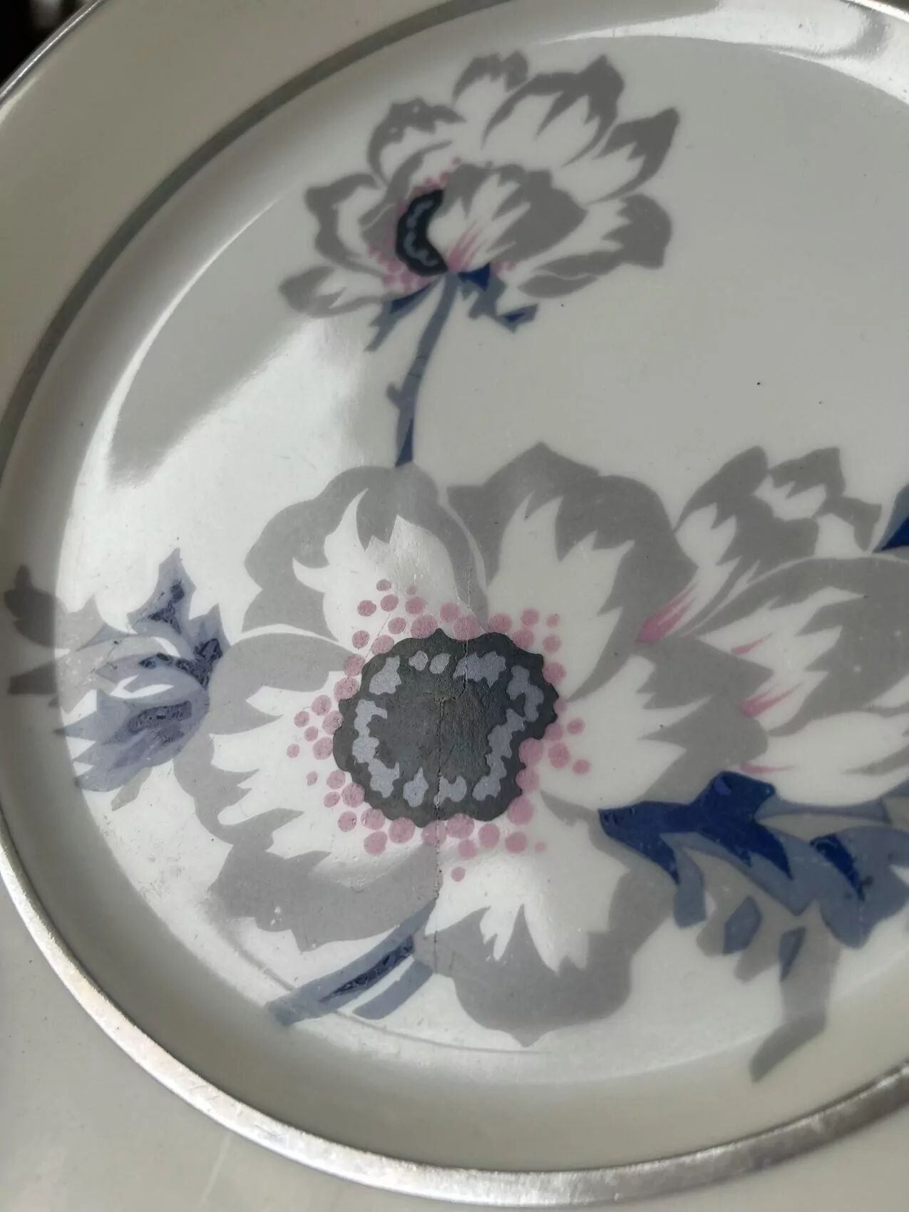 Set of 12 antique porcelain plates with anemone pattern + matching large plate 29.5 cm