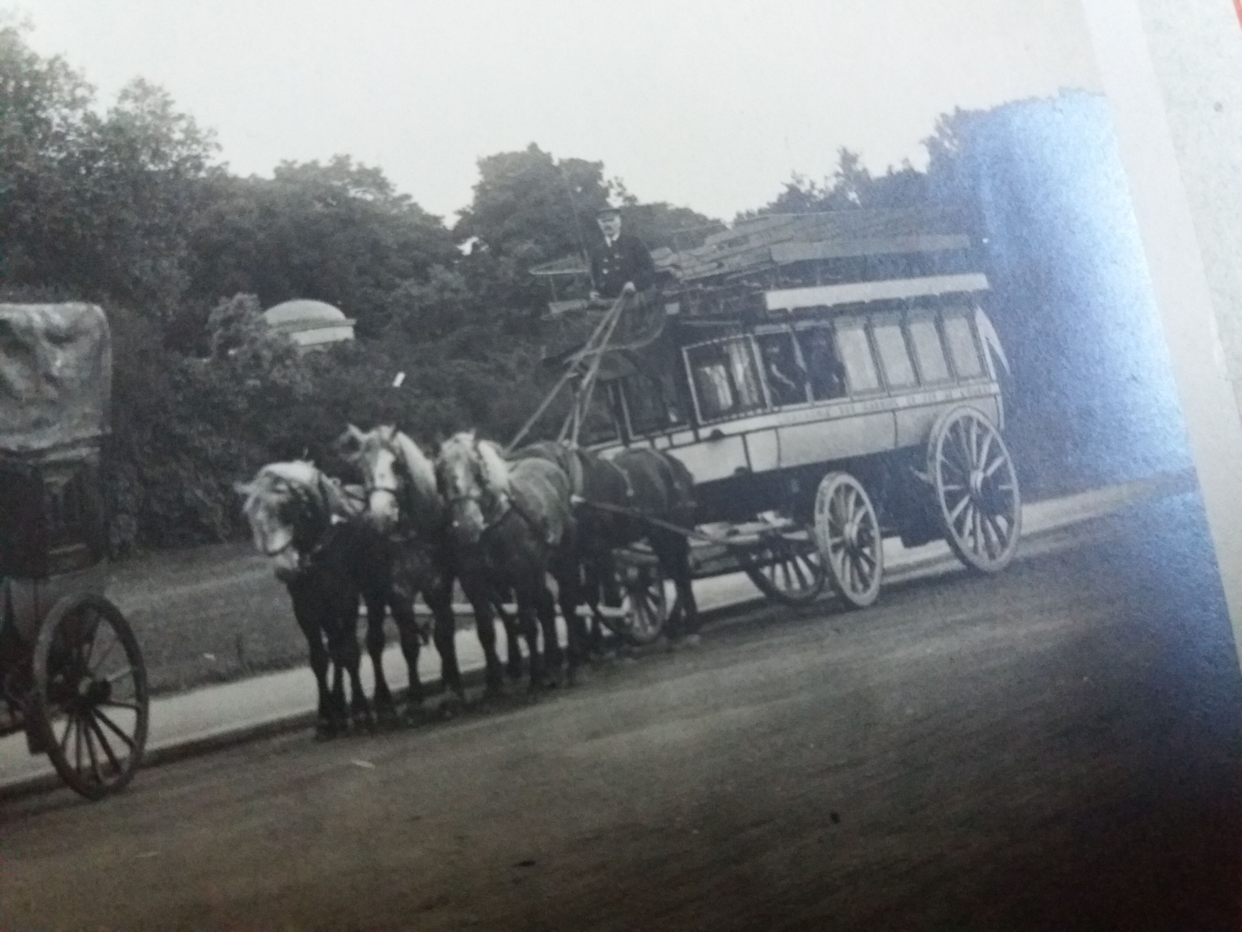 Old photograph 1900 stagecoach omnibus and horses Western Railway Company