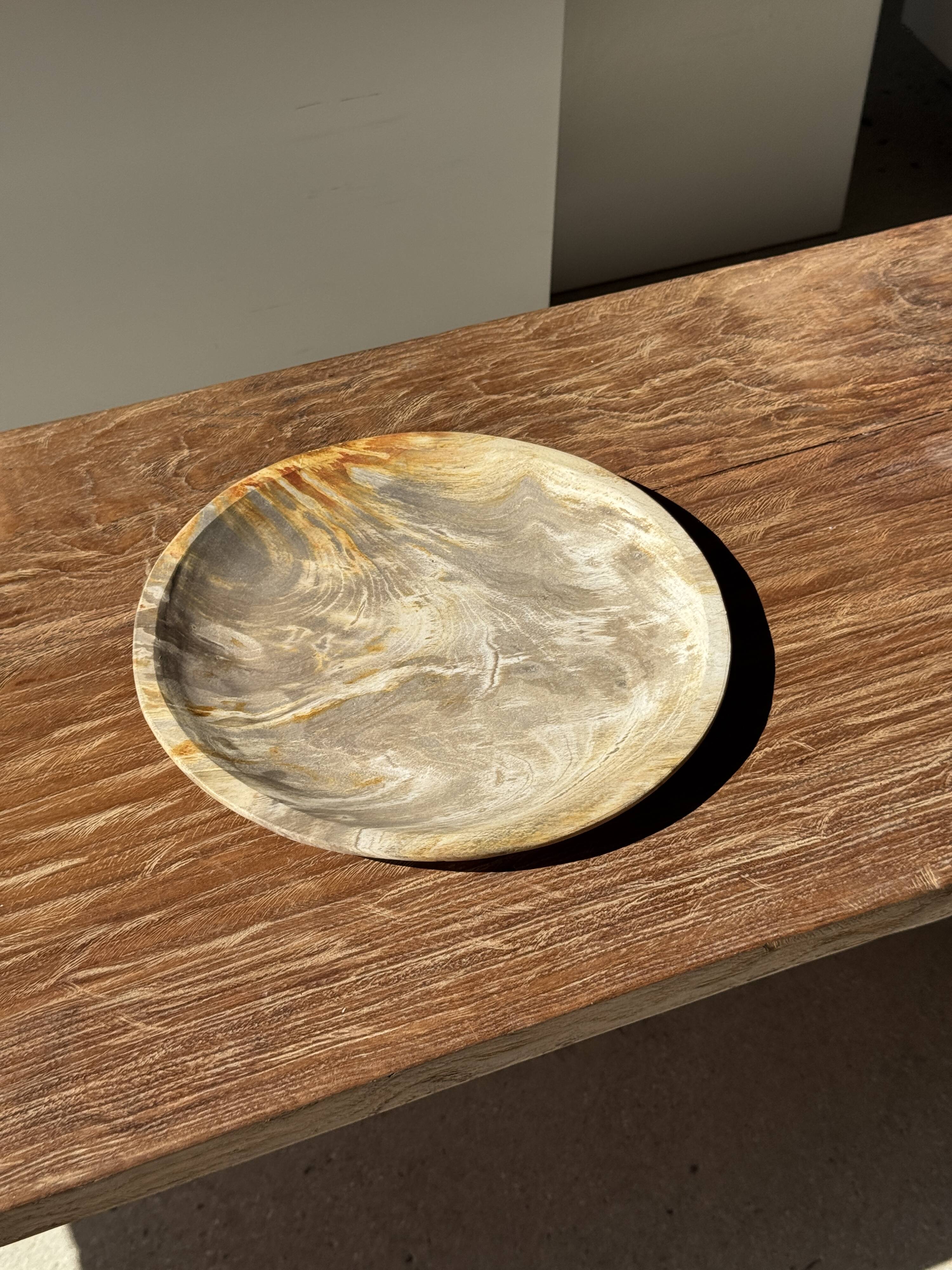 Petrified wood catchall, circular dish or plate in light beige D25 -3