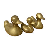 Canards