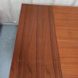 Scandinavian style table 50 year with 2 elongations