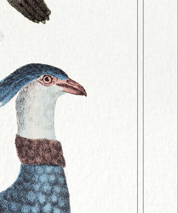 2 Chimeras lithography animal engraving