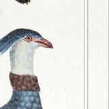 2 Chimeras lithography animal engraving