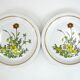 6 small white stoneware dessert plates - floral decoration - Country Charm Collection