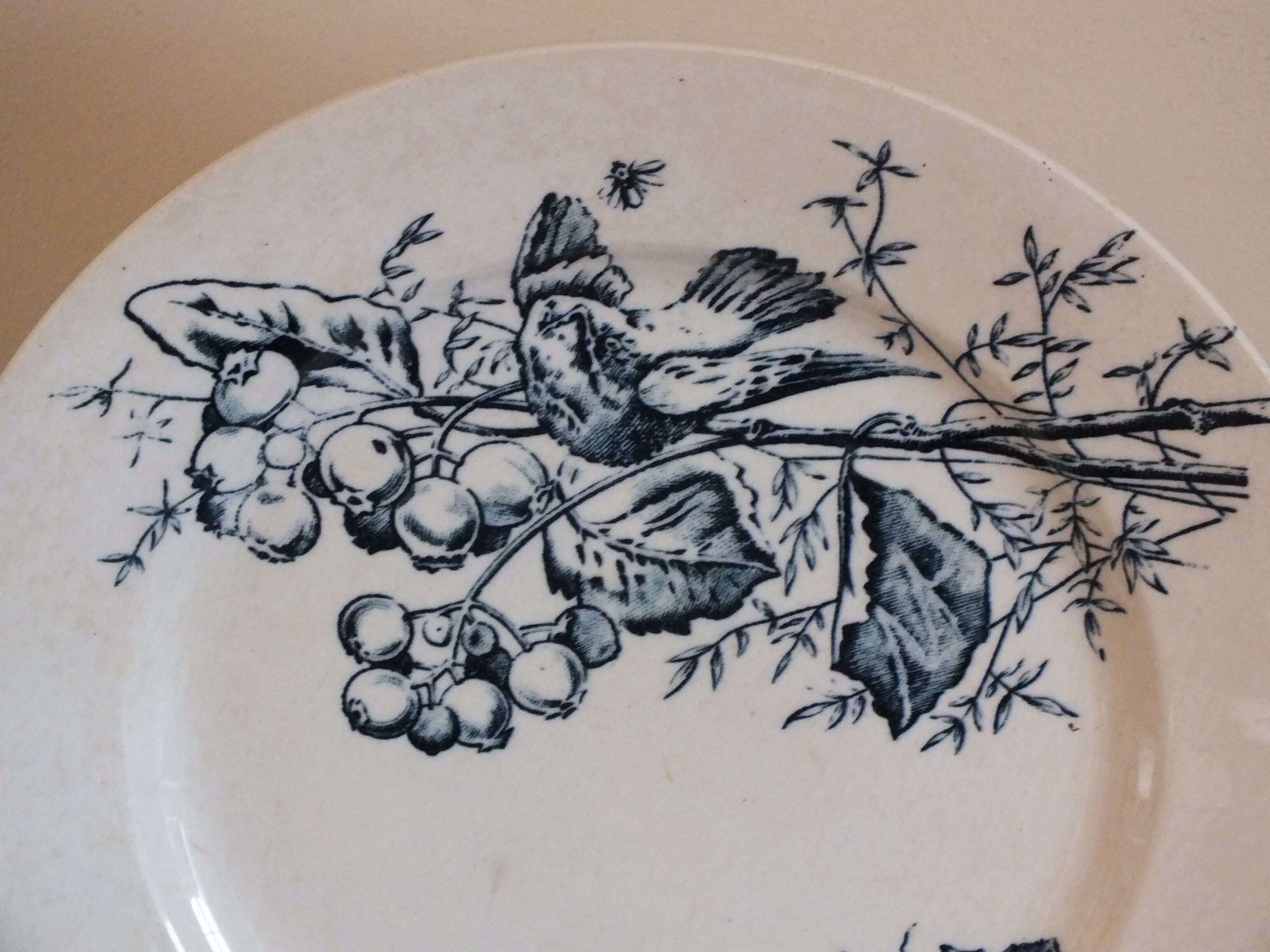 3 Flat plates in Iron Earth HB Choisy bird décor