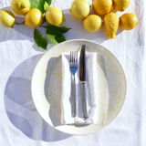 4 ceramic plates large model