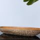 Vintage wooden plate by Aldo Tura for Macabo Italy