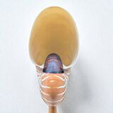 Tiger nautilus shell on a wooden stand, 19th century, Cabinet of curiosities