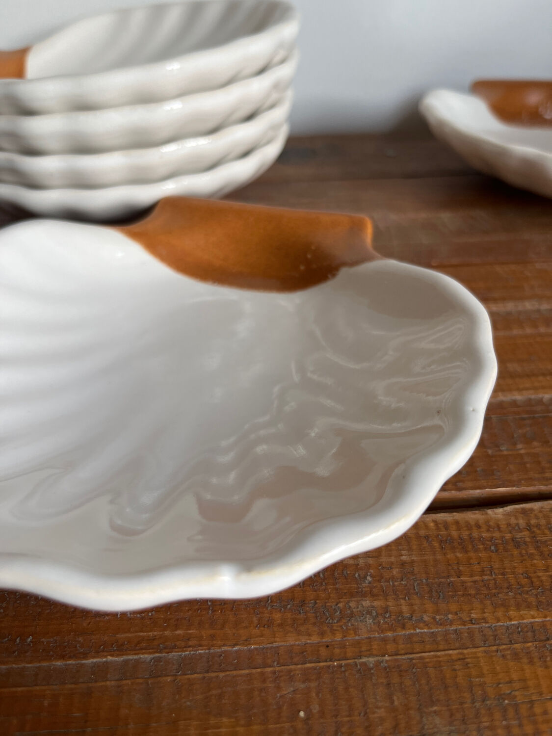 6 shell-shaped bowls
