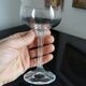 6 bohemian crystal champagne glasses