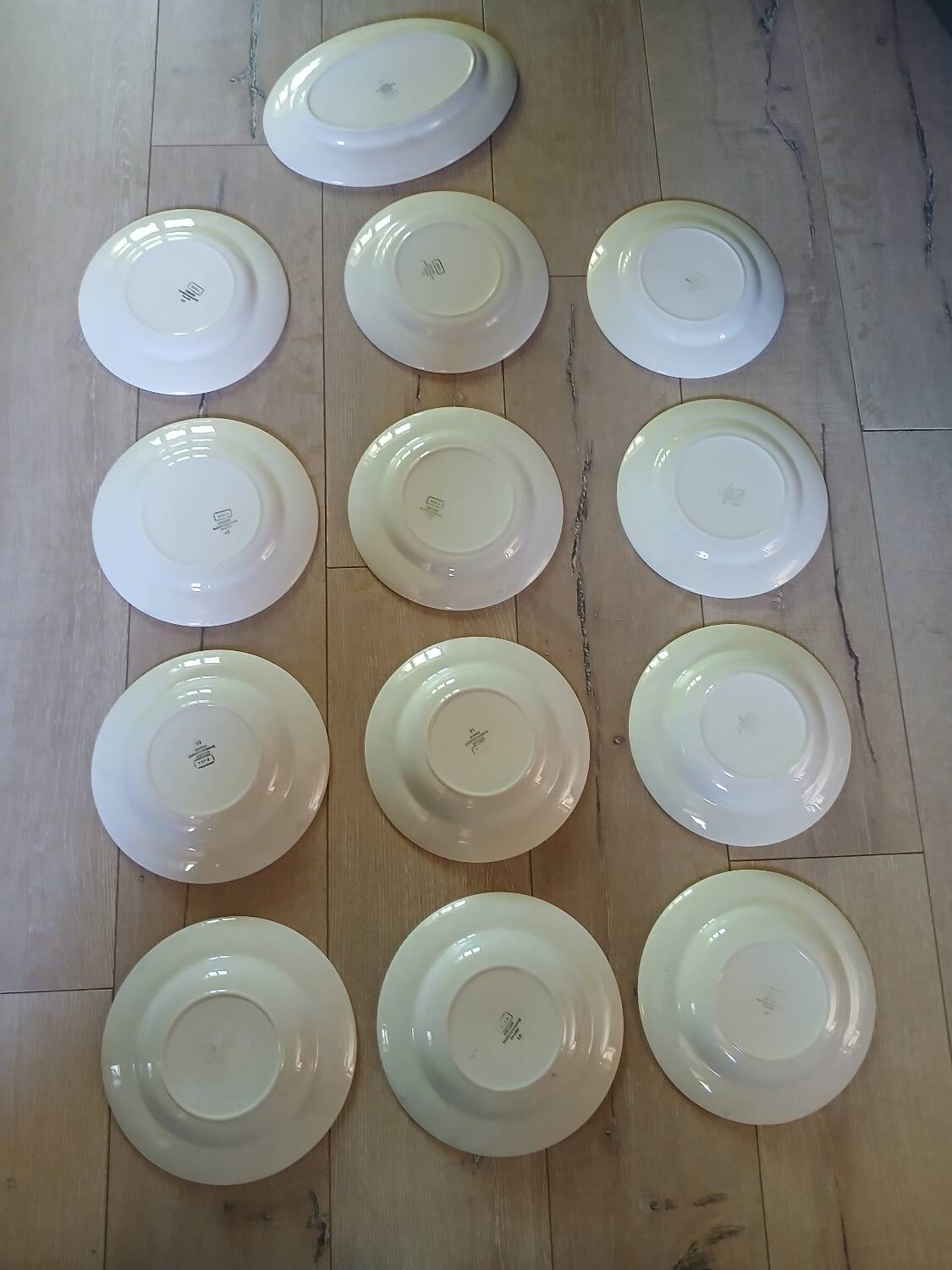 12 plates + 1 Digoin and Sarreguemines dish