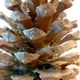 Old bronze pine cone lamp
