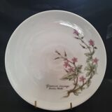 Decorative fine porcelain plate