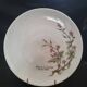 Decorative fine porcelain plate