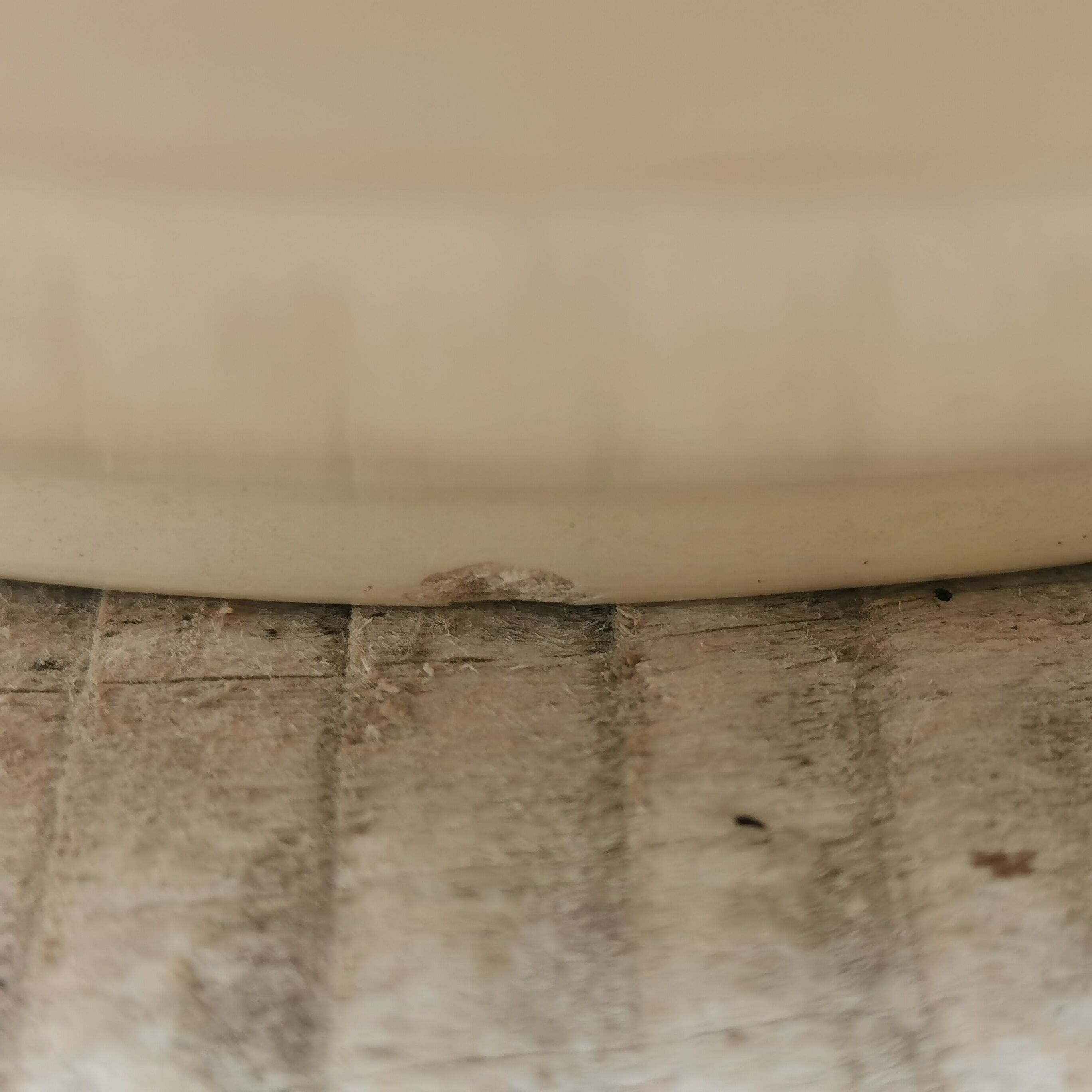 Salad bowl Moulin des Loups