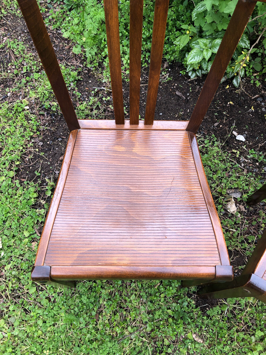 Duo chairs bistrot Stella