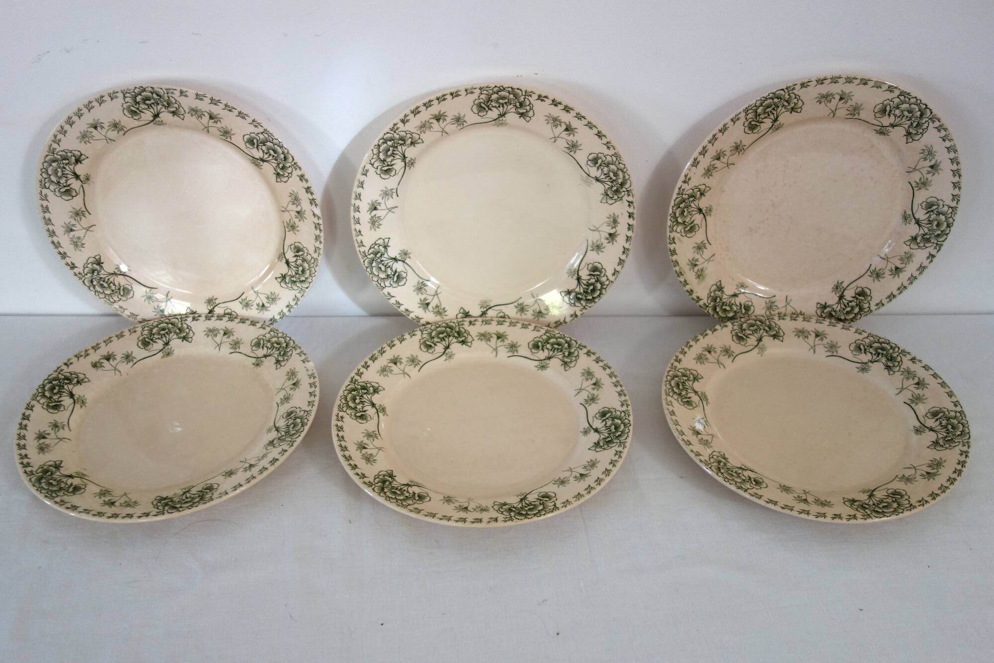6 flat ironstone plates "Palmyre" Sarreguemines