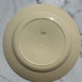 7 gien plates