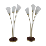 Pair of art deco floor lamps, Czechoslovakia 1940s
