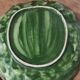 Grand plat Feuille de Chou Barbotine