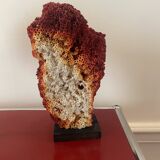 Grand corail Tubipora Musica vintage
