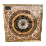 Frame under glass butterfly wings