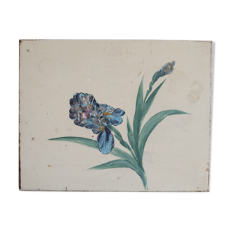 Painted and pearlescent iris wood board