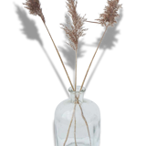 Demijohn