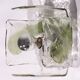 Carlo Nason wallamp from Muranoglass for Kalmar 1960 Austria